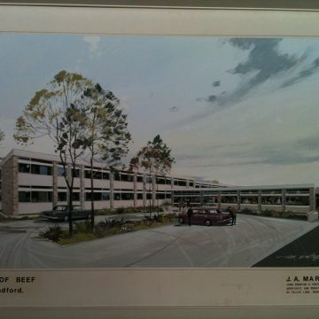 highfield-history